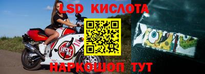 СК Камышлов