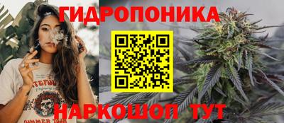СК Камышлов